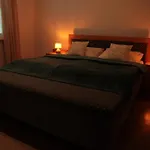 Large Three-room In Cassovar With Underground Garage Apartment